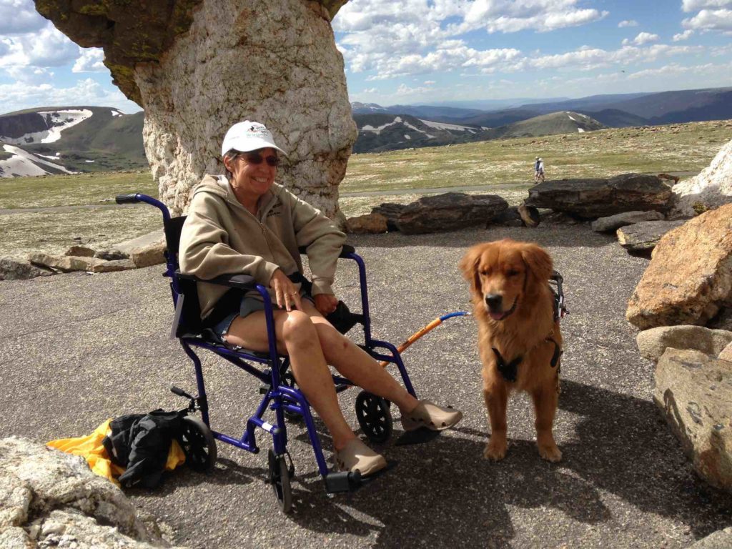 Betsy Leon made it up a steep mountain trail in Colorado with the help of her service dog, Raven, and the bike tow leash for her wheelchair.