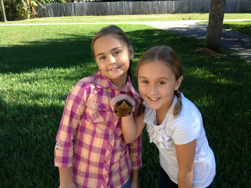 Addie and Kylie found a turtle during a family play outing.