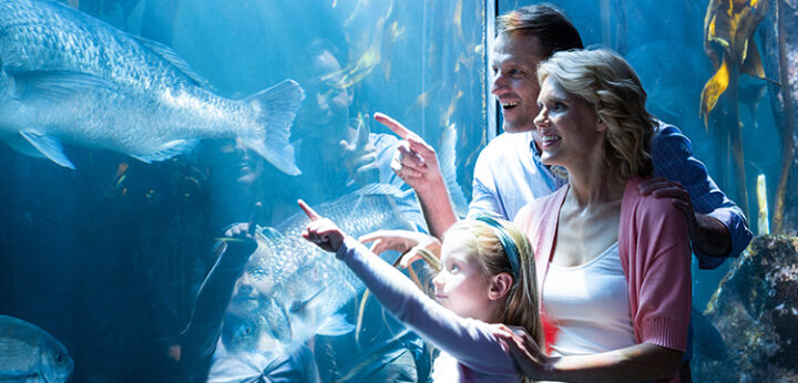 Mother and father pointing at fish in an aquarium with young daughter.