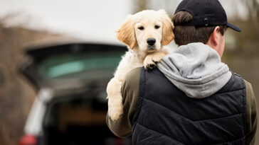 man holding a dog, good for mental health