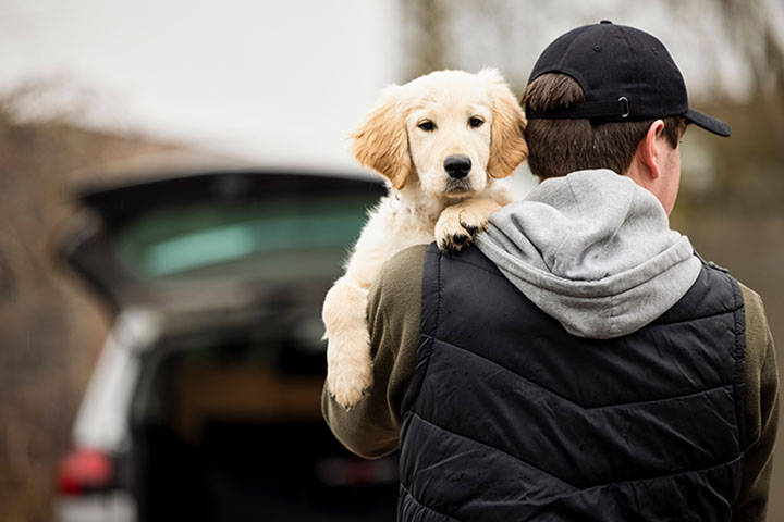 man holding a dog, good for mental health