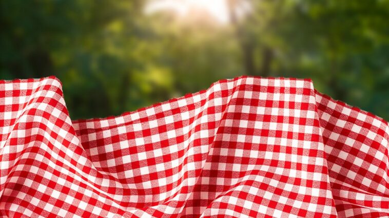 Picnic blanket displayed outside