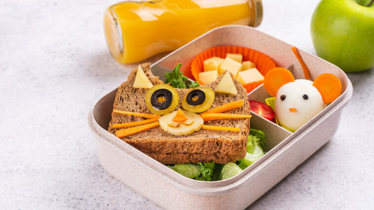photo of a lunchbox meal for kids
