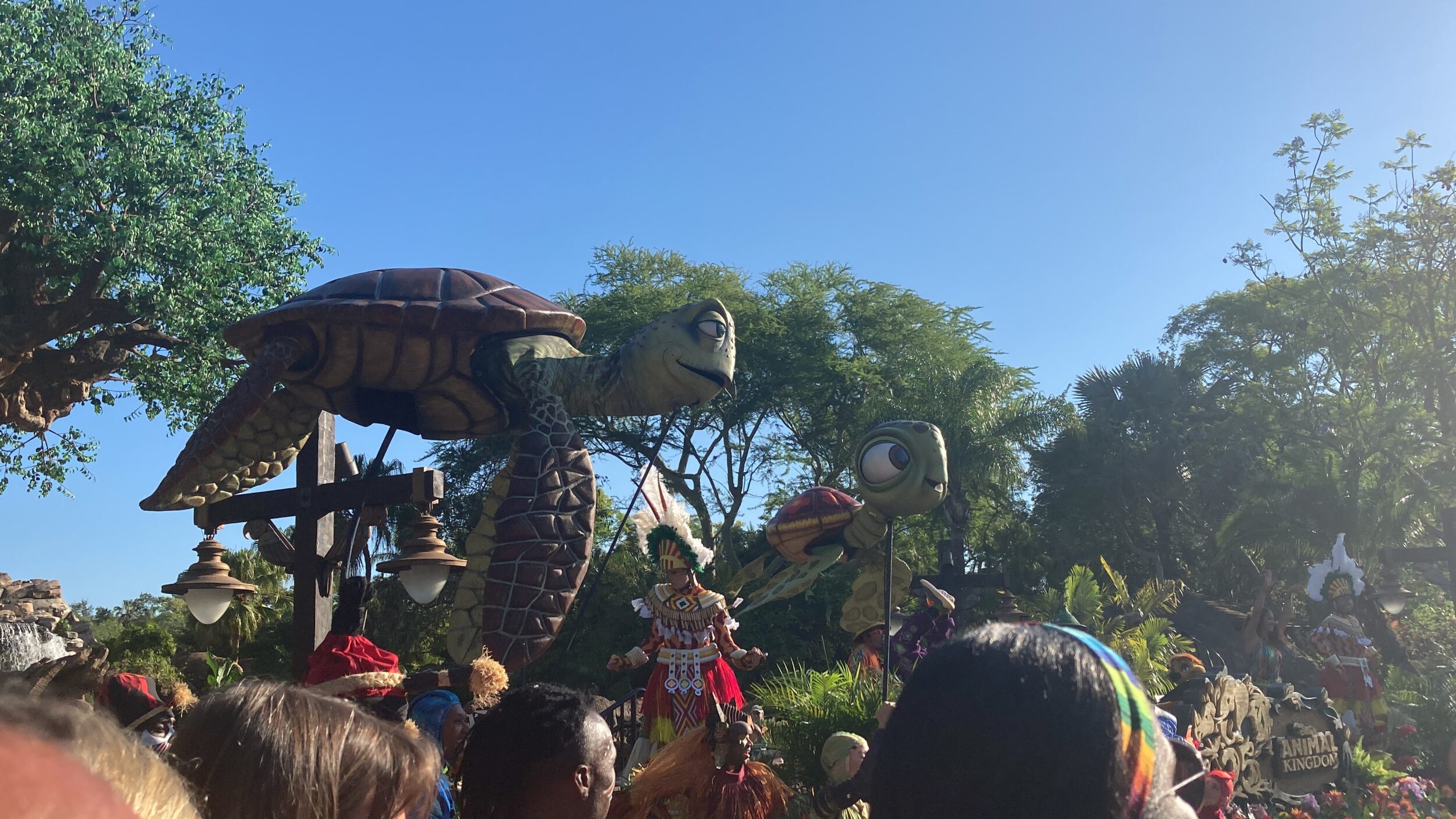 animal kingdom disney's characters turtle trees crowds heads
