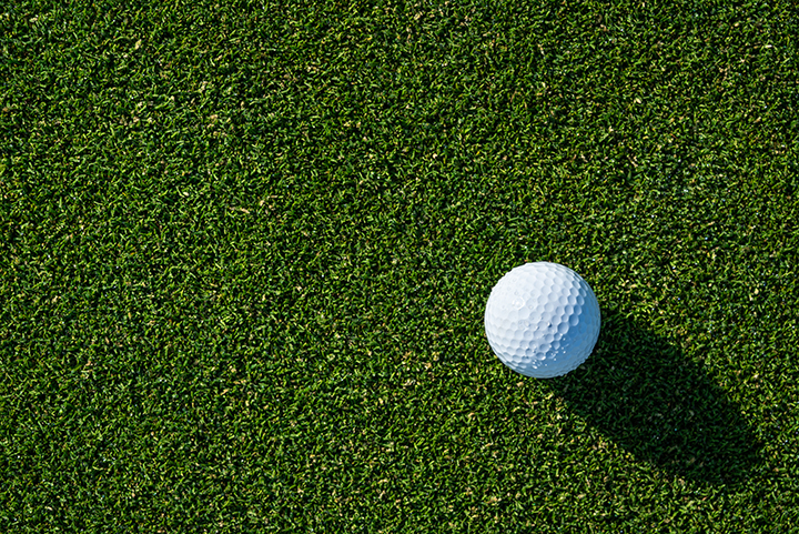 White golf ball on green grass.