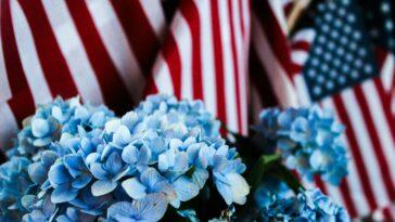 flowers and flags