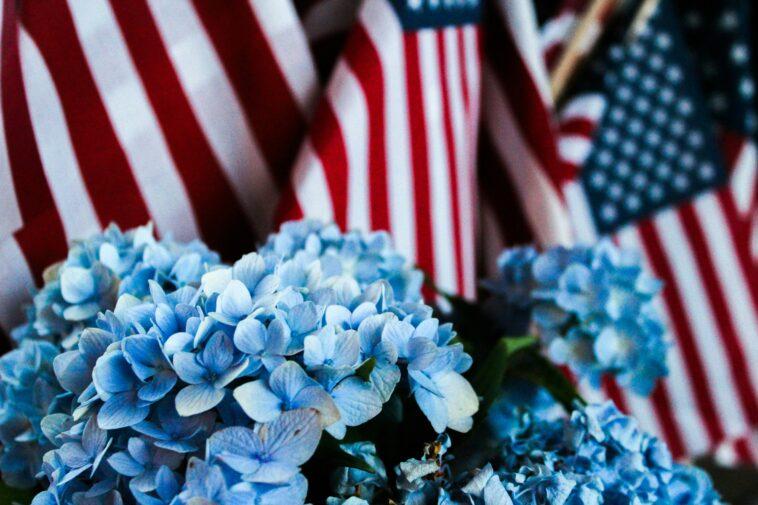 flowers and flags