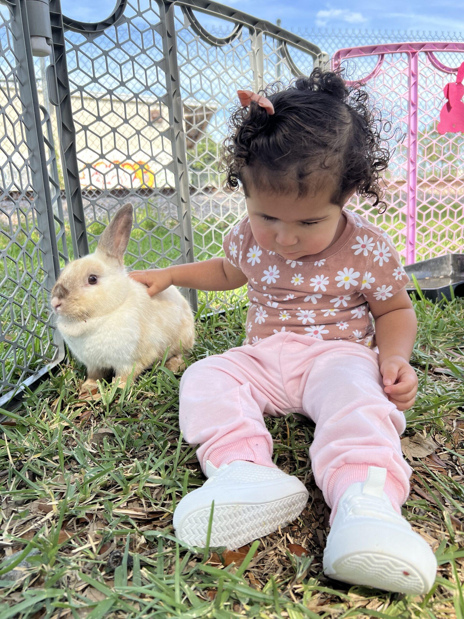 little girl petting bunny