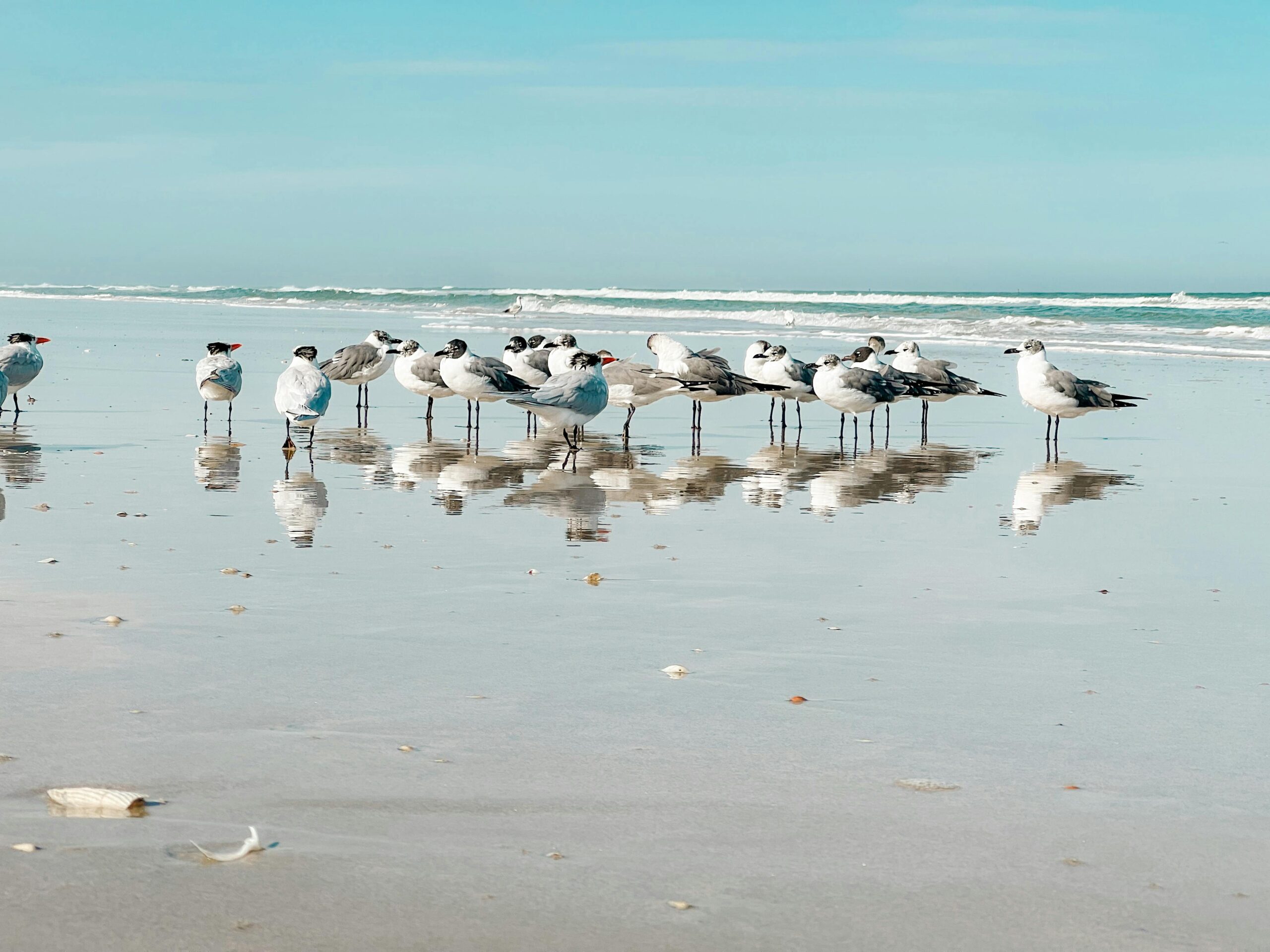 5 Reasons Staycations Are More Popular Than Ever — Especially in Central Florida
