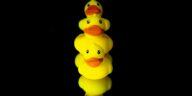 rubber ducks