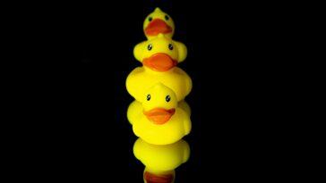 rubber ducks