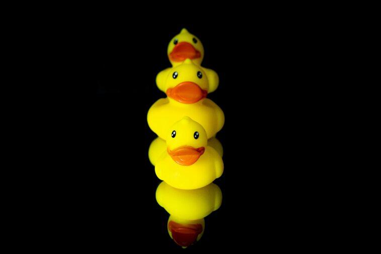 rubber ducks