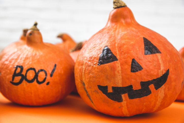 Close up portrait of small pumpkins