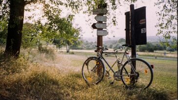 bike leaning against sign