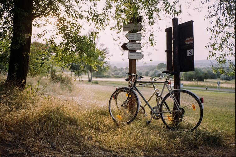 bike leaning against sign